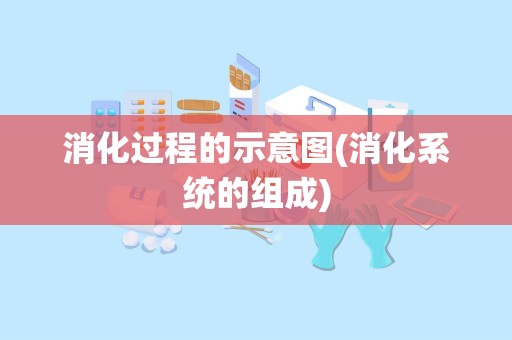 消化过程的示意图(消化系统的组成)