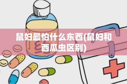 鼠妇最怕什么东西(鼠妇和西瓜虫区别)