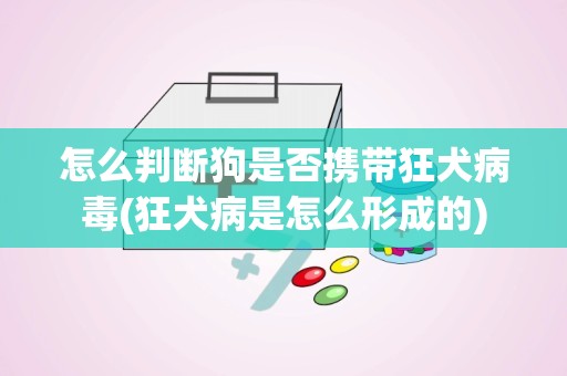 怎么判断狗是否携带狂犬病毒(狂犬病是怎么形成的)