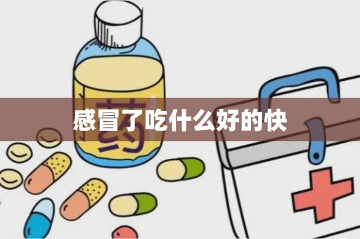 感冒了吃什么好的快