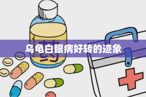 乌龟白眼病好转的迹象