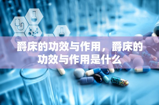 爵床的功效与作用，爵床的功效与作用是什么