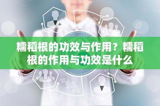 糯稻根的功效与作用？糯稻根的作用与功效是什么