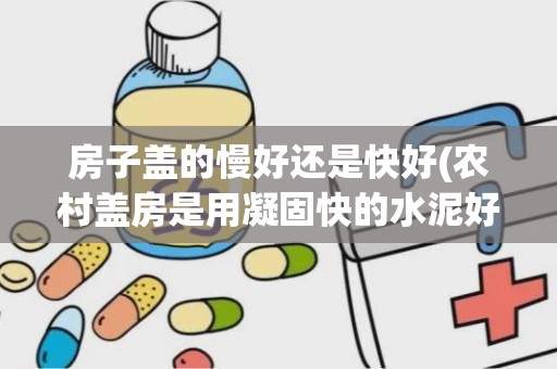 房子盖的慢好还是快好(农村盖房是用凝固快的水泥好还是凝固慢的好)