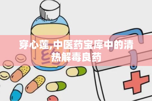 穿心莲,中医药宝库中的清热解毒良药