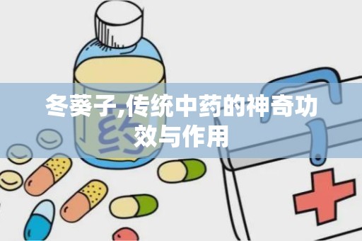 冬葵子,传统中药的神奇功效与作用