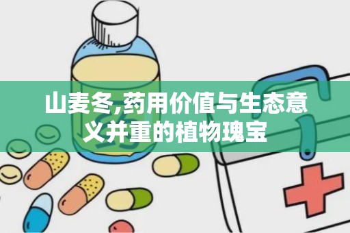 山麦冬,药用价值与生态意义并重的植物瑰宝