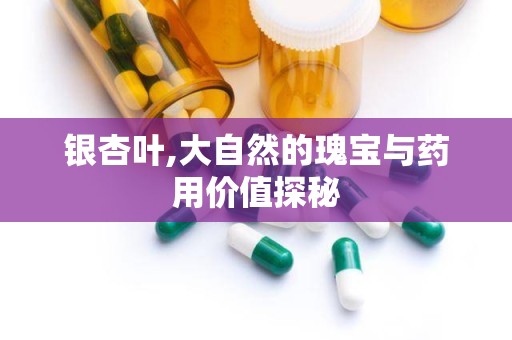 银杏叶,大自然的瑰宝与药用价值探秘