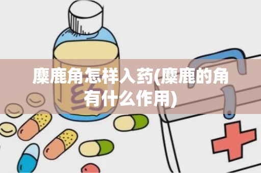 麋鹿角怎样入药(麋鹿的角有什么作用)