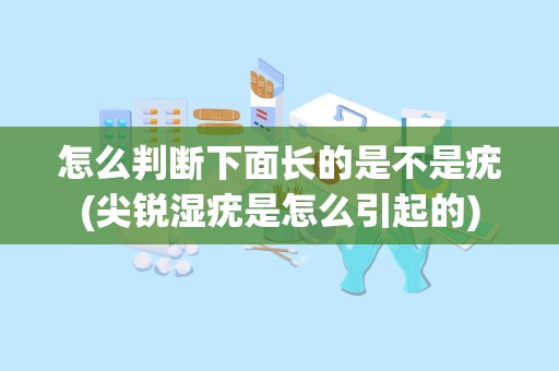 怎么判断下面长的是不是疣(尖锐湿疣是怎么引起的)