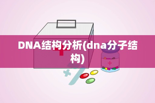DNA结构分析(dna分子结构)