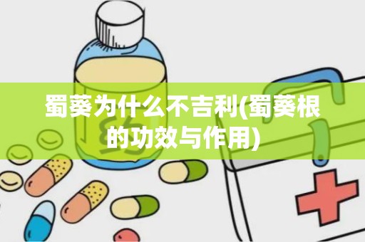 蜀葵为什么不吉利(蜀葵根的功效与作用)