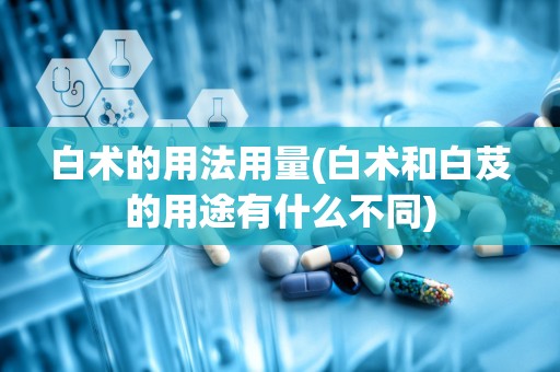 白术的用法用量(白术和白芨的用途有什么不同)