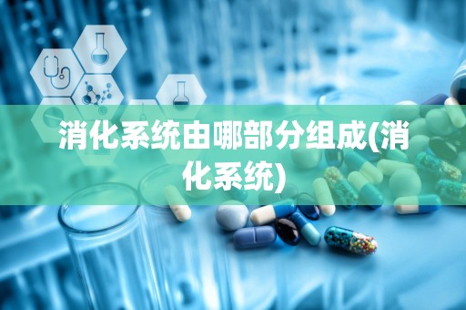 消化系统由哪部分组成(消化系统)