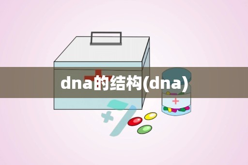dna的结构(dna)