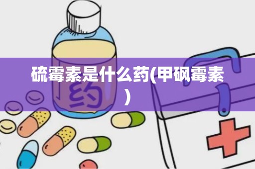 硫霉素是什么药(甲砜霉素)